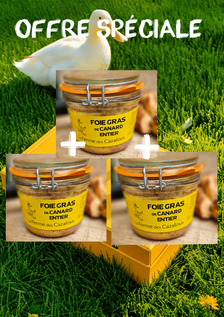 Bocal de foie gras 300g x 3